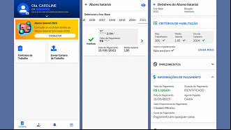 Consulta na CTPS Digital mostra se o Pis/Pasep está habilitado para saque. Imagem: Ache Concursos.