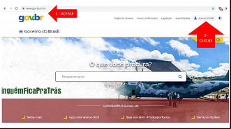 o 1: e o site do Gov.br e clique em o GOV.BR. Créditos: Reprodução/Governo Federal