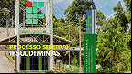 IFSULDEMINAS abre vagas para Professor Substituto em Medicina Veterinária
