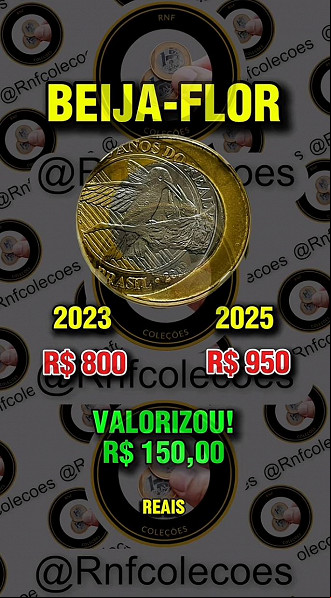 Créditos: Divulgação/RNF Coleções Créditos: Divulgação/RNF Coleções